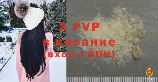 прущие грибы Абинск