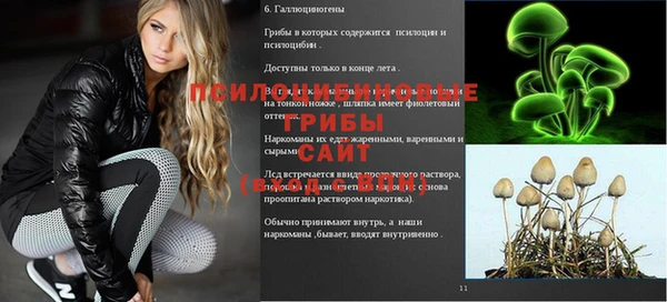 ALPHA-PVP Алексин