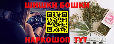 стафф Будённовск