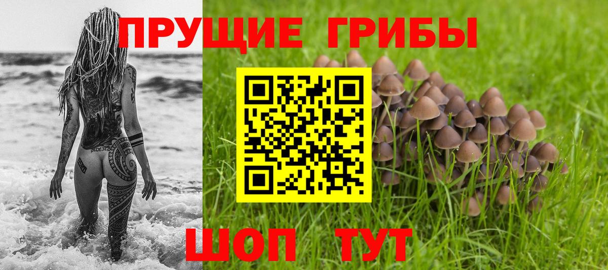 Боровичи  Псилоцибиновые грибы Magic Shrooms  Вход с VPN 