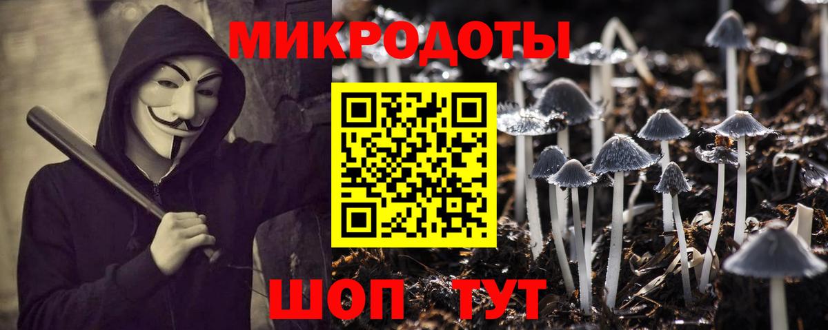 Псилоцибиновые грибы Psilocybine cubensis Боровичи