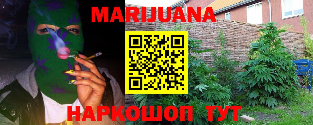 Бошки Шишки семена  Конопля OG Kush  МАРИХУАНА AK-47  Канабис гибрид  Вход с VPN  Боровичи 